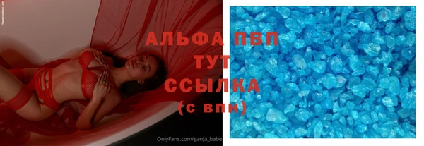 стаф Майский