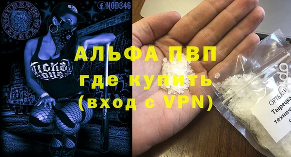 стаф Майский